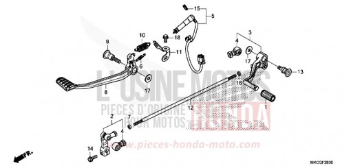 PEDALE GL1800BDL de 2020
